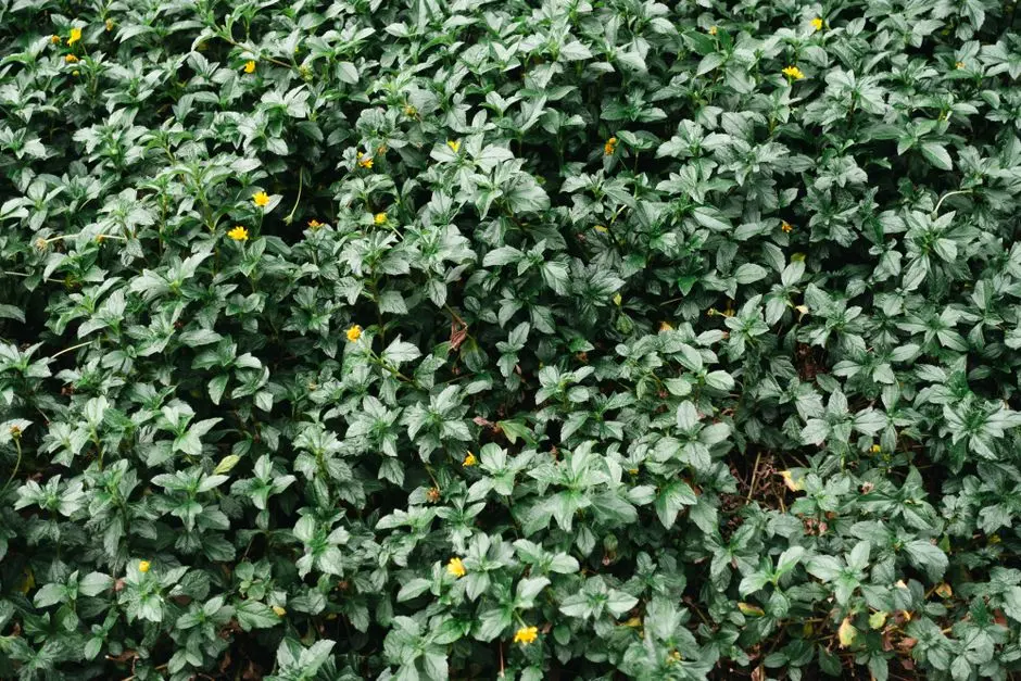 Greens & Outdoors at TVS RADIAL ROAD, Pallavaram, Chennai